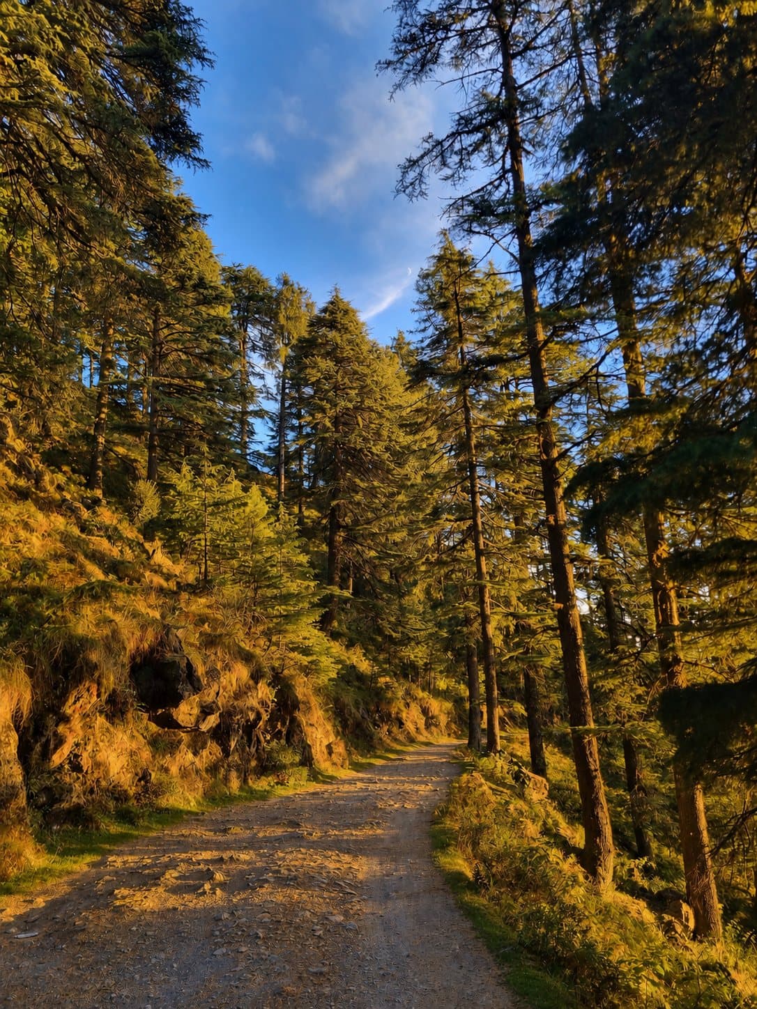 Forest Roads and Cantonment Quiet